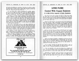 1956 Page 54 55